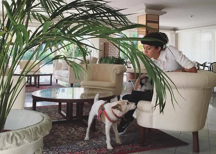 Hotel Tiffany Rímini