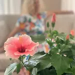 Hotel Tiffany Rimini