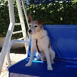 Tiffany 3* Rimini